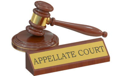 How Does the Appeals Process Work in Texas Civil Cases?